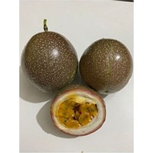 Pasiflora Çarkıfelek Meyvesi 500 gr
