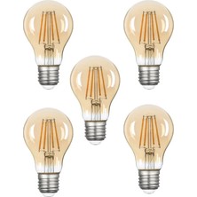 A60 Bal Cam LED Ampul 6W 2500K E27 (Gün Işığı) 3'lü Erd-37