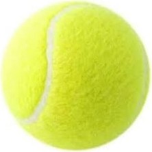 1 Adet Sarı Tenis Topu Antrenman Tenis Topu