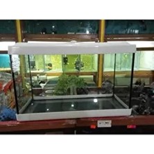 Akvaryum 50 cm Beyaz Renk