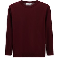 Bisiklet Yaka Regular Fit Triko Kazak