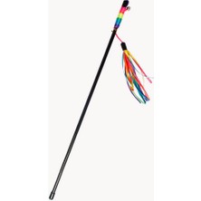 Ds-Derin Karlıe Kedi Oltası 70 cm Gökkuşağı