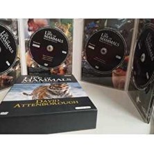 Plakperest Bbc Earth Memeliler Dünyası Belgeseli 4x DVD Set David Attenborough 2. El Doğa Filmi