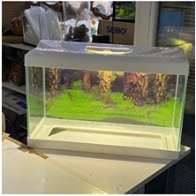 30LITRE Işıklı Arkaplanlı Akvaryum Karışık Renk (50X30X25 Cm)