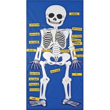 Nessiworld AND-9150 Cırtlı Iskelet Pano 5119