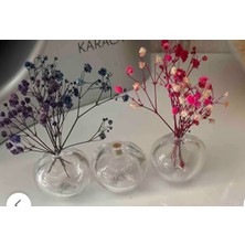 6 Lı Kahve Yanı Çiçeklik Süs Dekoratif Hediyelik Yuvarlak 5 ml Şişe