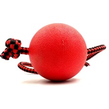 2 Adet Tutma Kulplu Isırma Çekiştirme Sert Köpek Oyun Eğitim Topu Seti