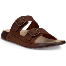 Ecco Cozmo W Potting Soil