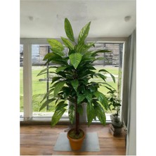 Yapay Ceviz Ağacı 80 cm Saksı ve Dolomit Taşı Dahildir Kayraflow6, One Size