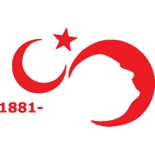 Çınarrium Türk Bayrağı 8 Duvar Dekor Sticker Kırmızı 80 x 40 cm