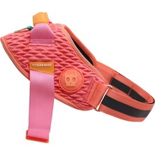Gazelle Flyharness Göğüs Tasması - Zee.dog