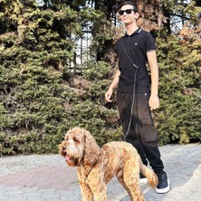 Çok Fonksiyonlu Eller Serbest Köpek Göğüs Tasması – Modern Siyah, Ayarlanabilir