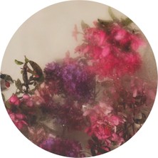 Cozy Co:temperli Cam Daire Tablo, Cam Tablo, Uv Baskı, CTT015