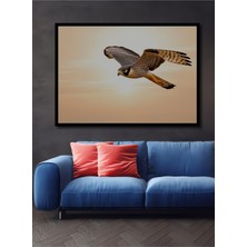 Çerçeve Görünümlü Yağlı Boya Görünümlü Gökyüzünde Süzülen Şahin Dekoratif Ahşap Ofis Kare Tablo