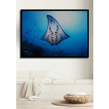 Çerçeve Görünümlü Nefes Kesen Manta Vatozu Yağlı Boya Görünümlü Dekoratif Ahşap Ofis Kare Tablo