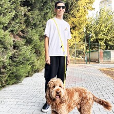Petswuu Eller Serbest Hands Free Köpek Gezdirme Tasması