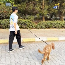 Petswuu Eller Serbest Hands Free Köpek Gezdirme Tasması 