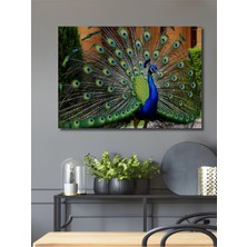 Muhteşem Tavus Kuşu Yağlı Boya Görünümlü Dekoratif Ahşap Ev/işyeri/ofis Kare Tablo