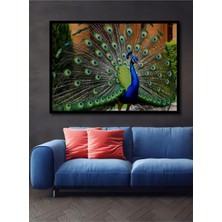 Çerçeve Görünümlü Muhteşem Tavus Kuşu Yağlı Boya Görünümlü Dekoratif Ahşap Işyeri/ofis Kare Tablo