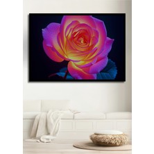 Çerçeve Görünümlü Neon Işıltılı Pembe Gül Yağlı Boya Görünümlü Dekoratif Ahşap Ofis Kare Tablo