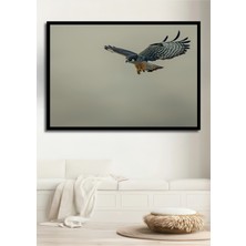 Çerçeve Görünümlü Süzülen Şahin Yağlı Boya Görünümlü Dekoratif Ahşap Ev/işyeri/ofis Kare Tablo