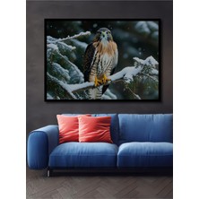 Çerçeve Görünümlü Kar Taneleri Altında Şahin Heybeti Yağlı Boya Görünümlü Ahşap Ofis Kare Tablo