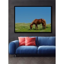 Çerçeve Görünümlü Çiçek Bahçesinde Otlayan At Yağlı Boya Görünümlü Dekoratif Ahşap Ofis Kare Tablo