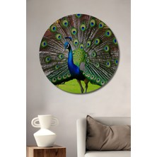 Muhteşem Tavus Kuşu Tüyü Yağlı Boya Görünümlü Dekoratif Ahşap Ev/işyeri/ofis Yuvarlak Tablo