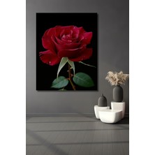 Kırmızı Gül Yağlı Boya Görünümlü Dekoratif Ahşap Ev/işyeri/ofis Kare Tablo