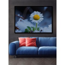 Çerçeve Görünümlü Buzlu Papatya Rüyası Dekoratif Ahşap Ev/işyeri/ofis Kare Tablo