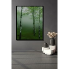 Çerçeve Görünümlü Sisli Huş Ormanı Yağlı Boya Görünümlü Dekoratif Ahşap Ev/işyeri/ofis Kare Tablo