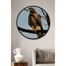 Çerçeve Görünümlü Gökyüzünde Süzülen Şahin Yağlı Boya Görünümlü Dekoratif Ahşap Ofis Yuvarlak Tablo