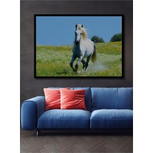 Çerçeve Görünümlü Beyaz At Çiçek Bahçesi Yağlı Boya Görünümlü Dekoratif Ahşap Ofis Kare Tablo