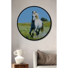 Çerçeve Görünümlü Beyaz At Çiçek Bahçesi Yağlı Boya Görünümlü Dekoratif Ahşap Ofis Yuvarlak Tablo