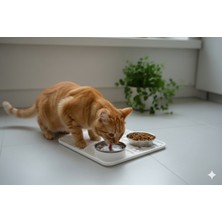 Generic Kedi ve Köpek Için Yavaş Besleme Mama Matı - Kaymaz Tabanlı Sağlıklı Sindirim Yalama Matı (Lick Mat) 22x18cm