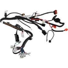 Mondıal Superboy 100-125İ Elektrik Tesisatı