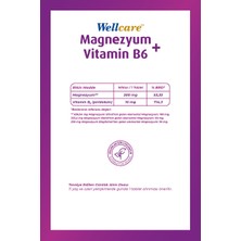 Wellcare Magnezyum + Vitamin B6 30 Tablet 2 Adet