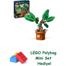 LEGO Harry Potter Adamotu 76433 + Polybag