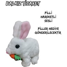 Pilli Zıplayan Tavşan, Kulakları Işıklı Tavşan, Hareketli Sesli Tavşan