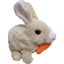 Pilli Zıplayan Tavşan, Kulakları Işıklı Tavşan, Hareketli Sesli Tavşan