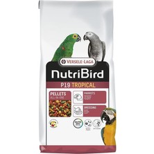 Versele-Laga Nutribird P19 Tropical Papağan Pelet Yem 10KG, 810-422132