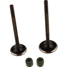 Tvs Apache RTR150 Subap ve Keçe Set India