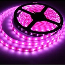 LED Şerit Iç Mekan Pembe Renk 5 mt Rulo