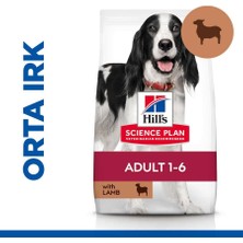 Hill's Hills Adult Kuzulu ve Pirinçli Orta Irk Yetişkin Köpek Maması 14 Kg