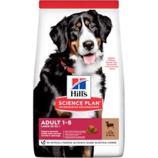 Hill'S Kuzu Etli Büyük İrk Yetişkin Köpek Maması - 14 Kg