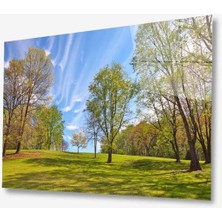 Doğa Cam Tablo 4mm Dayanıklı Temperli Cam