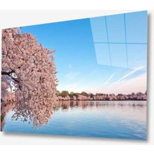 Doğa Cam Tablo 4mm Dayanıklı Temperli Cam