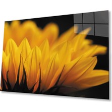 Ay Çiçeği Günebakan 4mm Dayanıklı Cam Tablo Temperli Cam , Sunflower Glass Wall Art