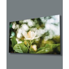 Çiçek Cam Tablo 4mm Dayanıklı Temperli Cam White Flower Glass Wall Art