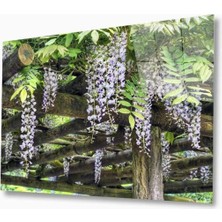 Doğa Cam Tablo 4mm Dayanıklı Temperli Cam